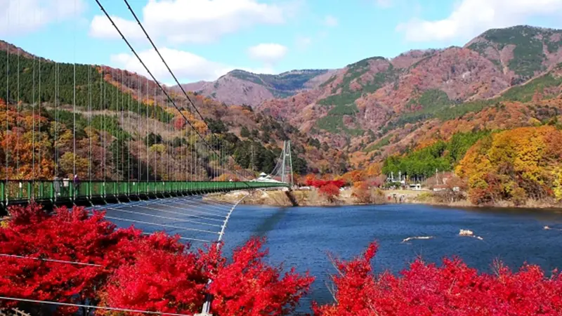 森林の駅/もみじ谷大吊橋