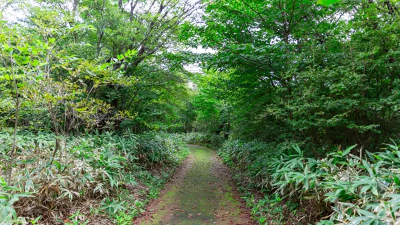 那須平成の森
